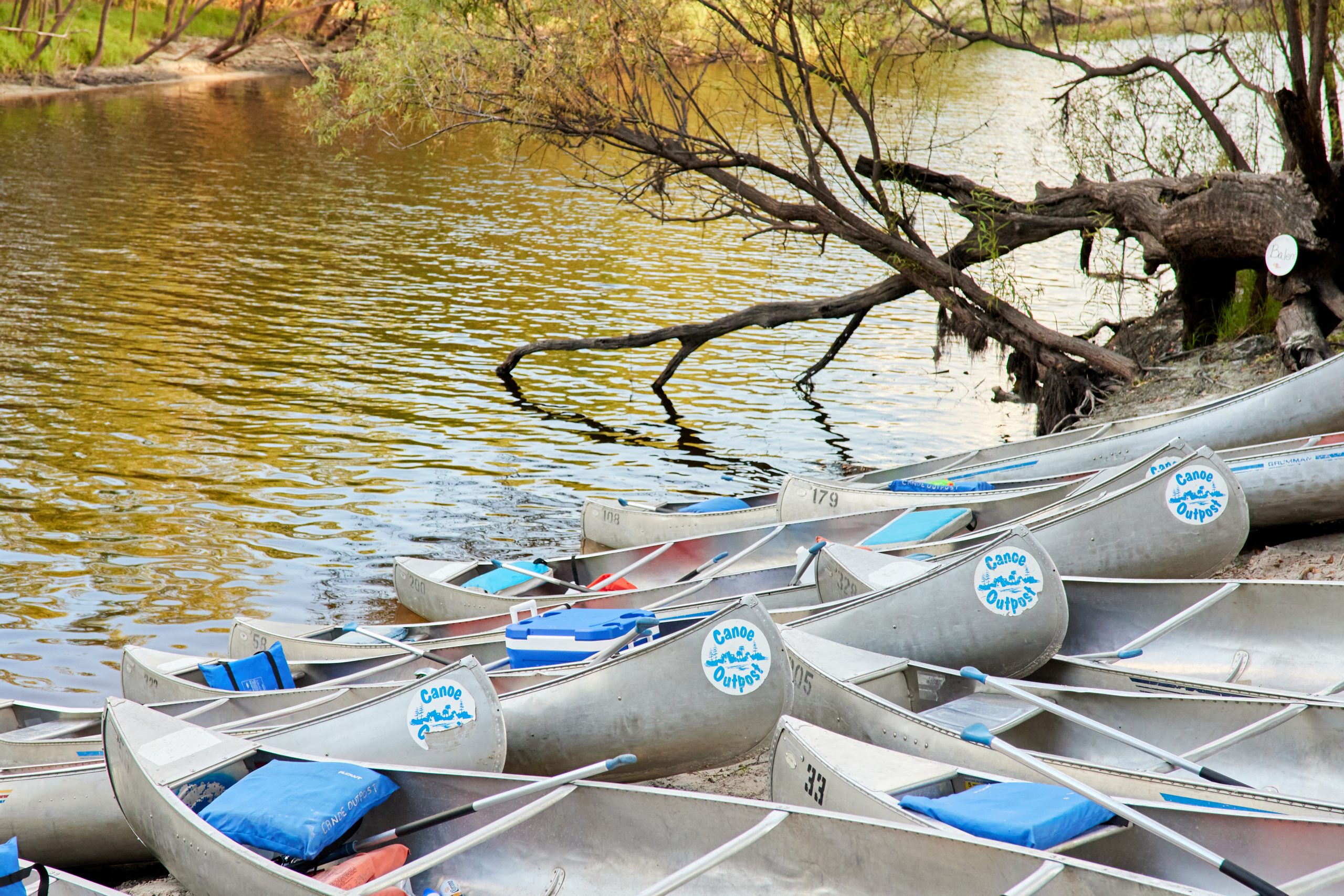 peace river canoe trips florida