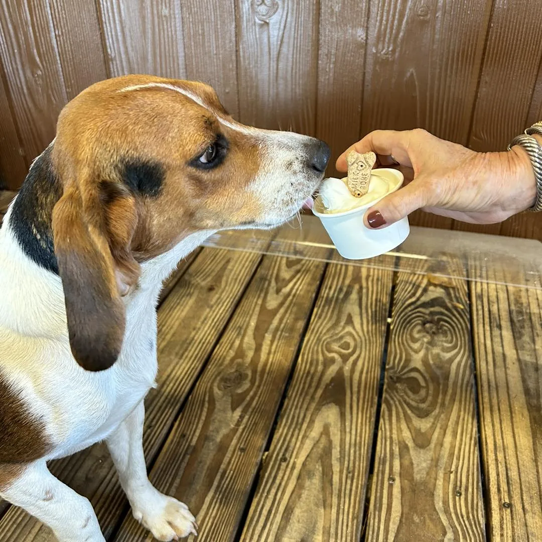 Worth The Wild: Even Pups Get Treated at the Grove Stand